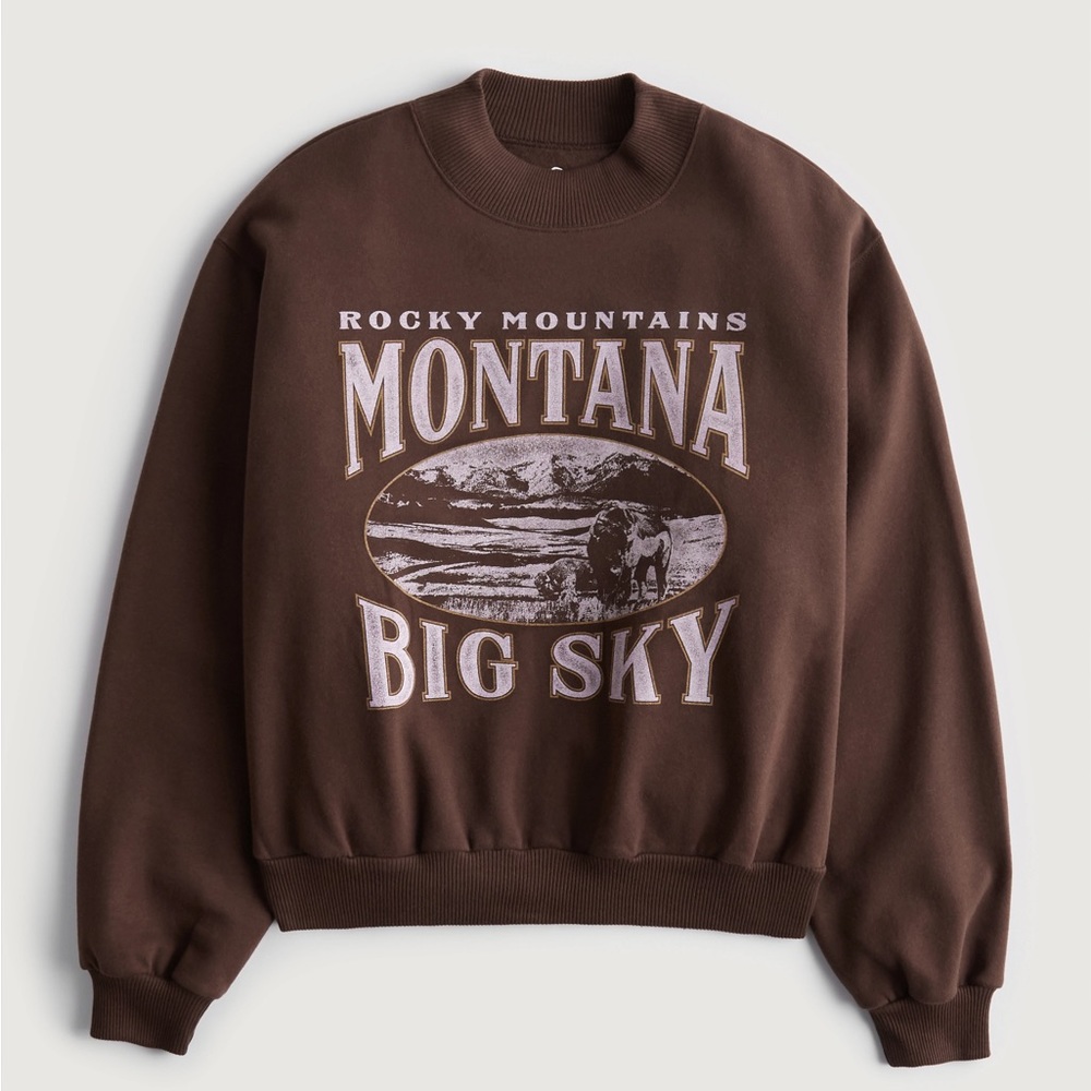Hollister Graphic Mock-Neck Mom Sweatshirt | Color: Brown/White | Size: XS